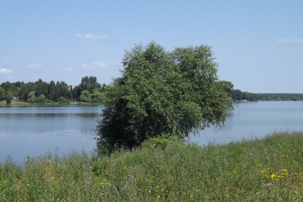 Jezioro Przeczyce
