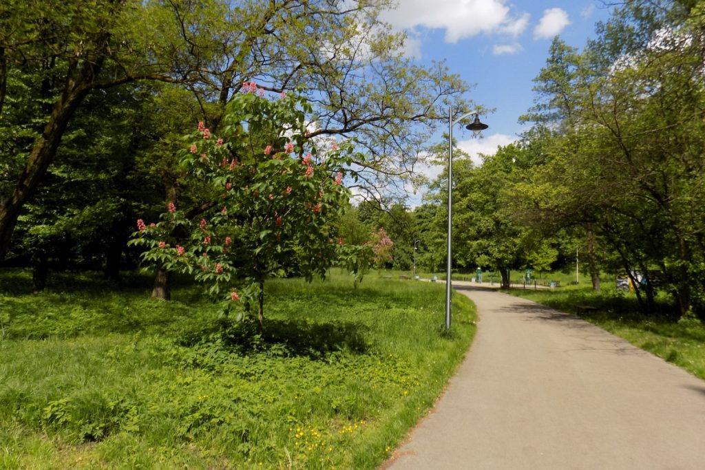 Park Sielecki w Sosnowcu